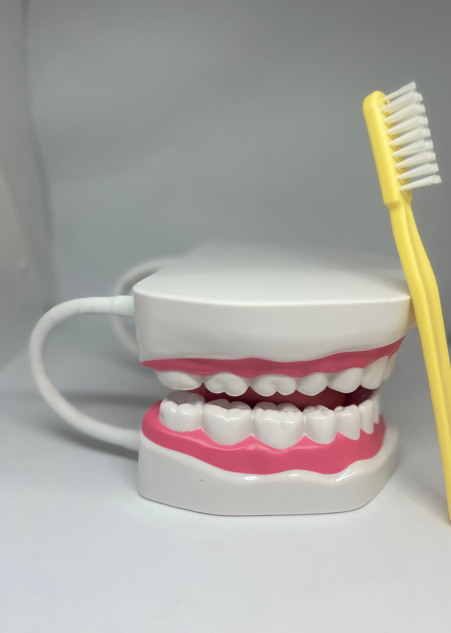 Dental Education Model