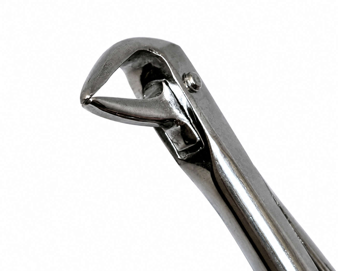 lower anterior remaining root thin peak forceps