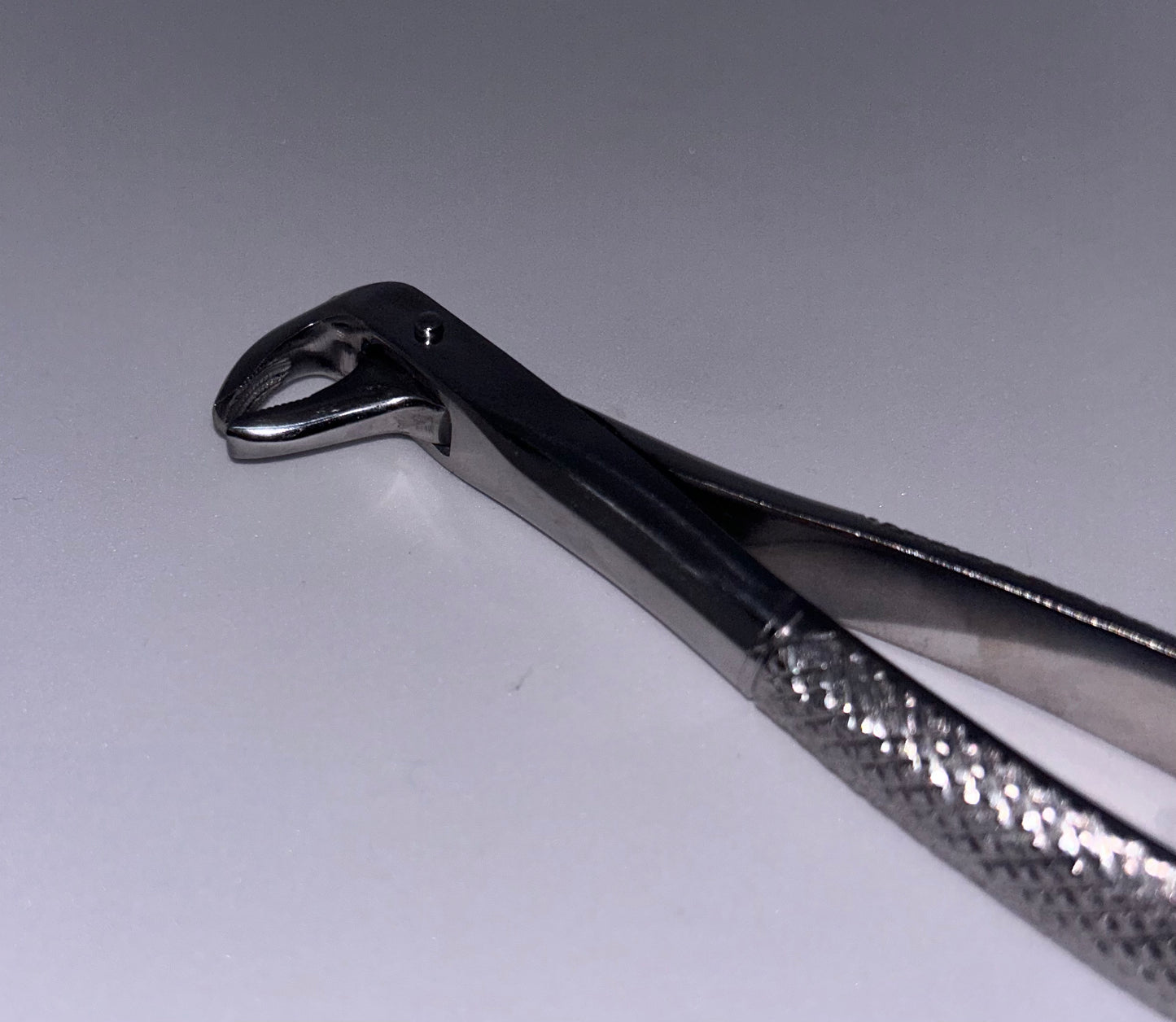 Lower premolar forceps