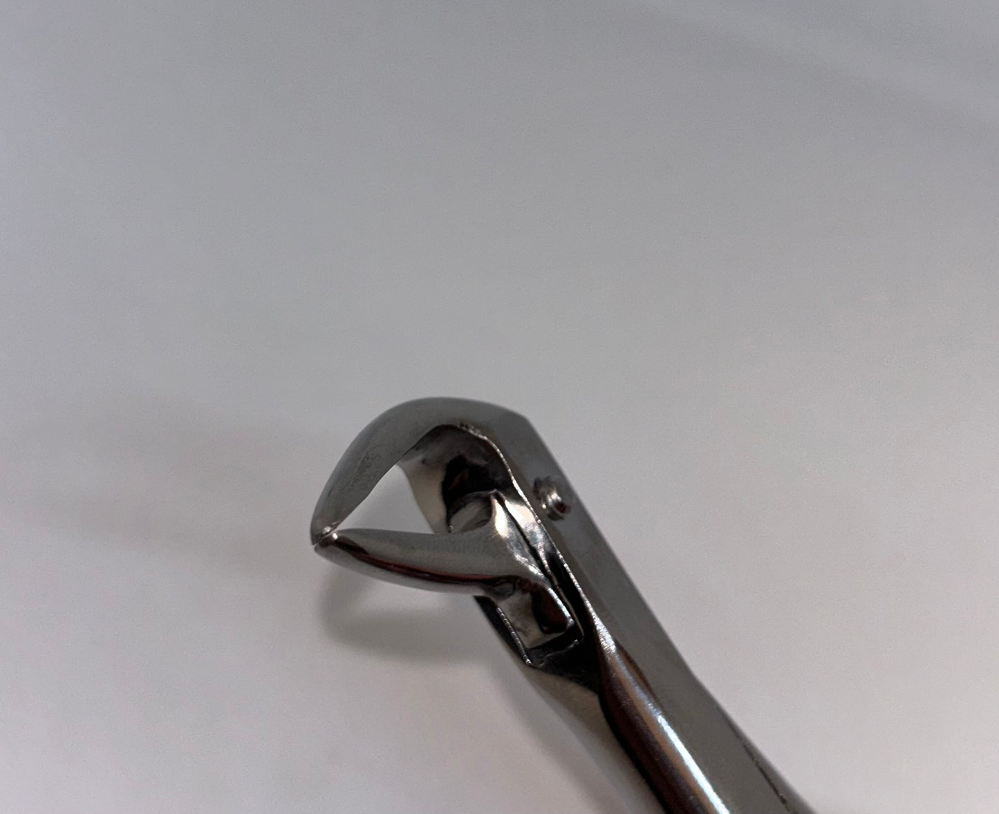 lower anterior remaining root thin peak forceps