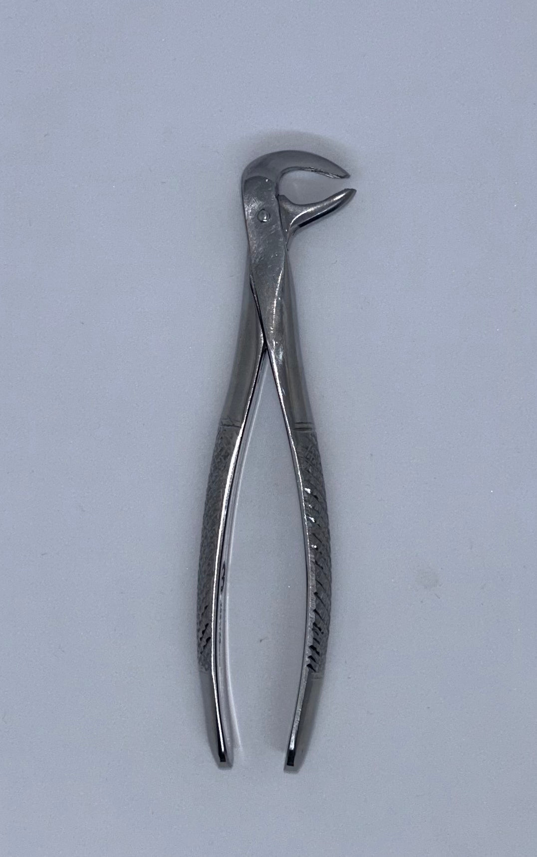 Lower premolar forceps