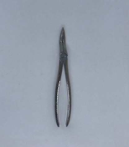 Upper roots (parallel beaks)