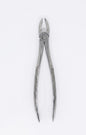 upper left molar forceps