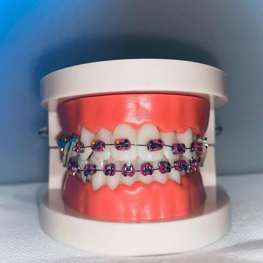 Ortho model