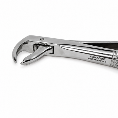 Lower molar forceps (broken down)