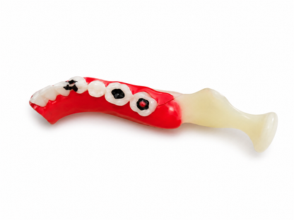 Half jaw model
