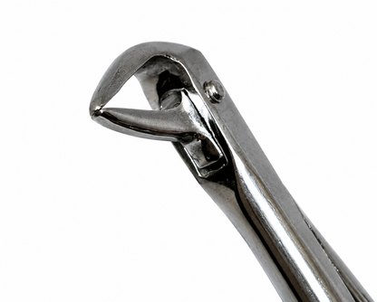 lower anterior remaining root thin peak forceps