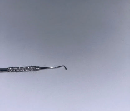 Amalgam filling wetscott