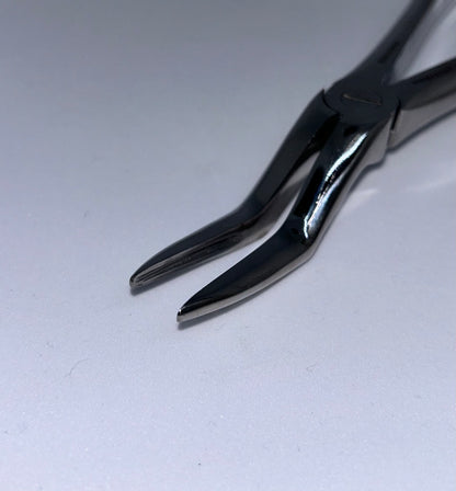 Upper roots (parallel beaks)
