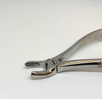 upper left molar forceps
