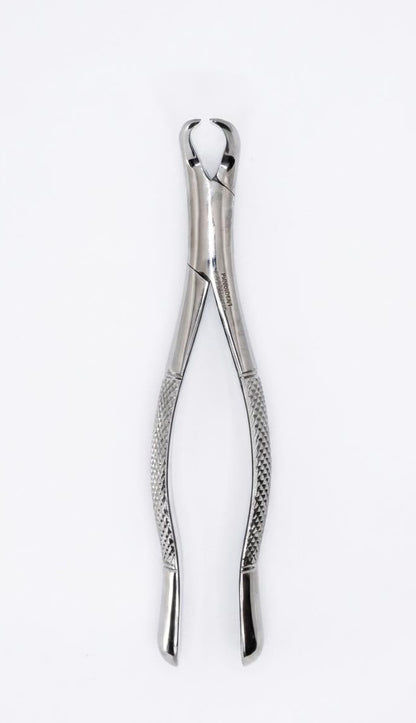 cow horn forceps