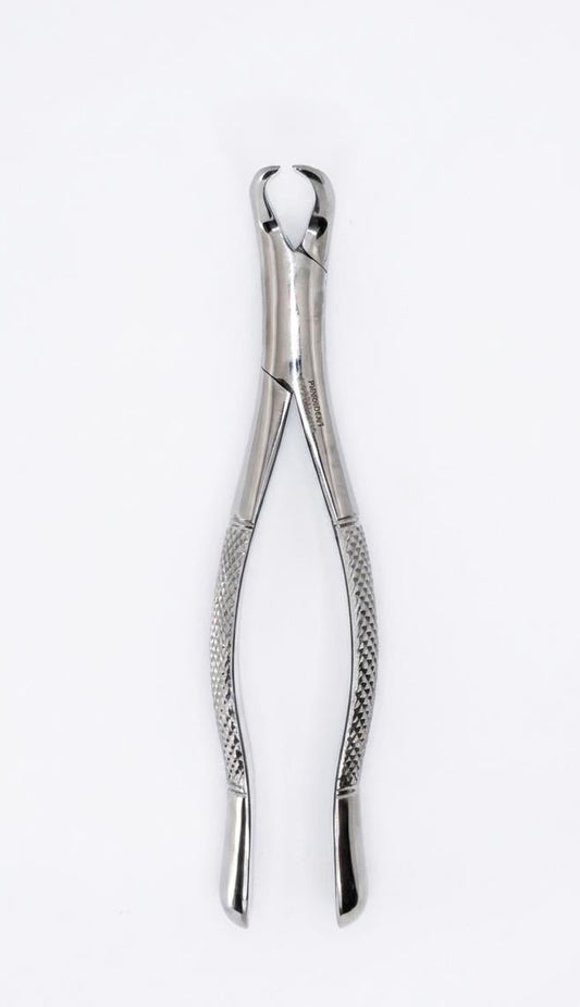 cow horn forceps