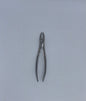 Upper central & canine forceps