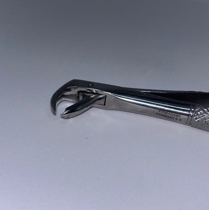 Lower molar forceps (broken down)