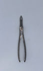 Upper roots forceps