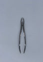 Upper right molar forceps