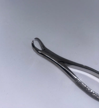 cow horn forceps