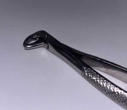 Lower premolar forceps