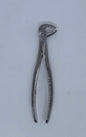 Lower premolar forceps
